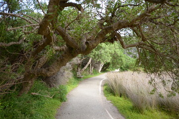 A pathway at the national park