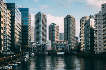 Obraz premium landscape of the Tokyo metropolitan area of Japan