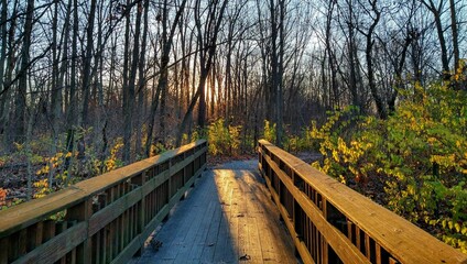 Fototapeta na wymiar Evening Sunlight Over Wooden Bridge in Bare Autumn Park