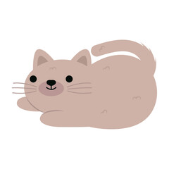 cartoon cat icon