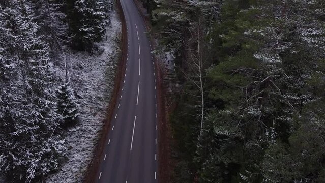 establishing shot of a road as leading line surrounded by a forest during winter and frost.