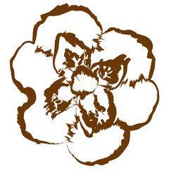 パンジーの手描きイラスト