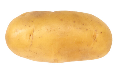 One potato isolated
