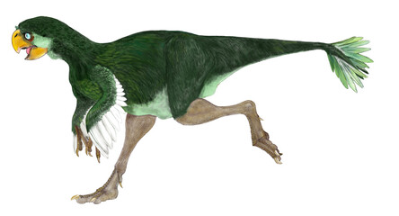 アジャンキンゲニアは白亜紀後期の現在のモンゴルで発見された化石に基づくオヴィラプトロサウルス類のオビラプトル科に属する小型獣脚類である。以前はインゲニアの名で知られていたが、他の生物（線虫の一種）に同名の生き物があり、2013年に改名された。この恐竜の特徴は第一指の末節骨の長さが、第二指に比べ、2倍の長さを持っている事だろうか。食性は雑食性といえる。