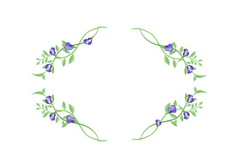 butterfly pea floral frame for decoration ep01