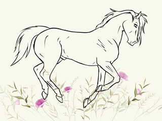 drawing horse running with herb vector with roses