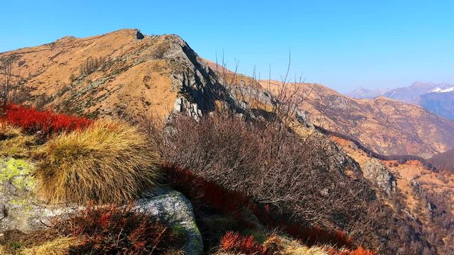 Red and yellow dry grasses atop Cimetta Mount, Ticino, Switzerland