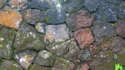 a mossy stone wall as a background