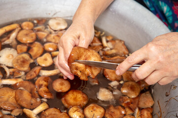 Cleaning mushrooms with a knife.