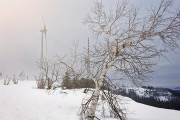 Green energy, snowy summit of the Hornisgrinde in the Black Forest in fog. In the foreground a...