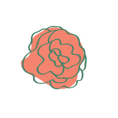 Floral Flower Vector Set Illustration