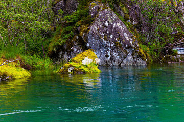 Emerald green of summer grass