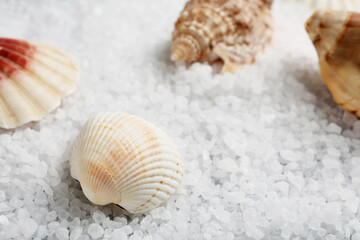 Fototapeta na wymiar Many beautiful shells on natural sea salt, closeup