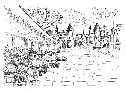 Tallinn city old wall and flowers shops. Old town street in hand drawn sketch style. Hand drawn sketch illustration in vector.