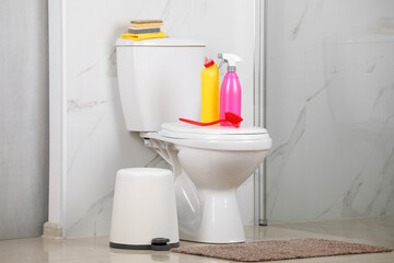 Cleaning supplies on toilet bowl in bathroom