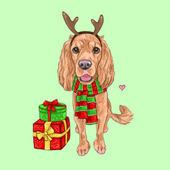 dog cocker spaniel illustration, New Year artwork, christmas sketch, puppy with gifts, deer headband, digital drawing