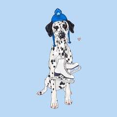 Dalmatian dog illustration, New Year artwork, Christmas sketch, puppy with skates in a hat, digital drawing