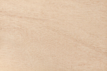 Plywood texture background, wooden surface in natural pattern for design art work.