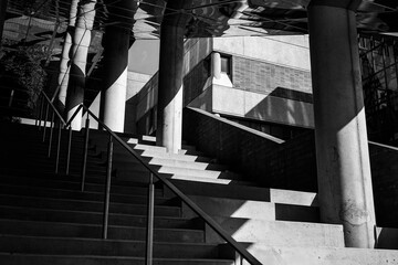 moody black and white stairs against pillars