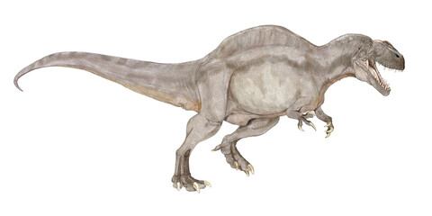 アクロカントサウルス　アロサウルス科の恐竜であり、白亜紀前期では北米において最大の肉食恐竜であった。この時期の気温は高く、この恐竜も生存環境に適応するため、同時期のスピノサウルスやオウラノサウルスのように首から背中にかけて神経棘が伸びており、放熱のための帆を形作っていたと想像される。体長は13メートル。
