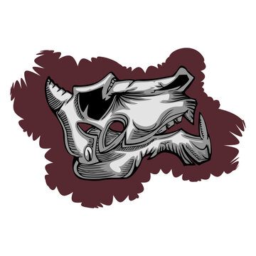 carnivore skull hand draw illustration in grunge back ground