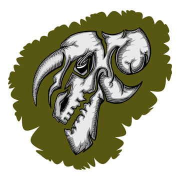 carnivore skull hand draw illustration in grunge back ground
