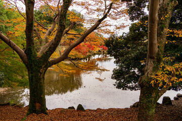 秋の紅葉と池のある風景
