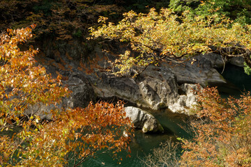 紅葉に彩られた渓谷の岩