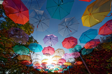 アンブレラスカイと紅葉