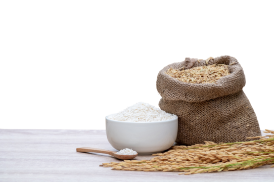 White rice grains in white bowls, white rice grains in wooden spoons, raw rice grains in hemp sacks and ears placed on modern wooden table and transparent background, png file