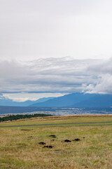 landscape with wheat in mountains