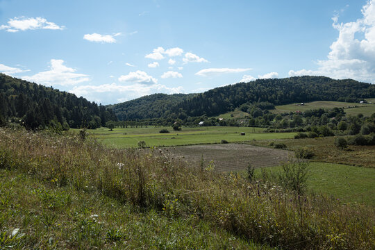 G&oacute;ry latem, Bieszczady, Karpaty