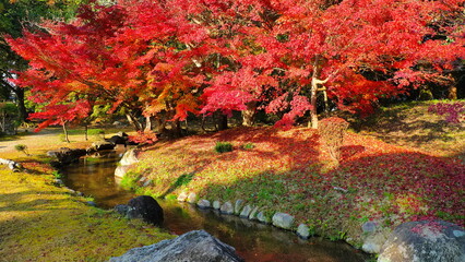 津山市衆楽園（晩秋）10