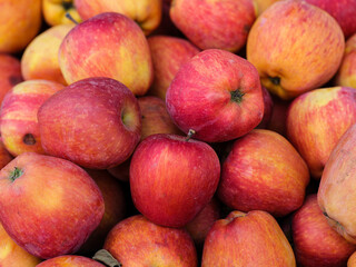 fresh apples at the market