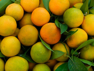 fresh tangerines at the market