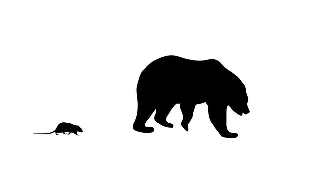 Walking bear and rat, animation on the white background (seamless loop)