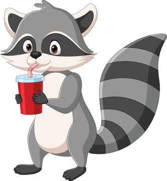 Cute raccoon cartoon drinking soda
