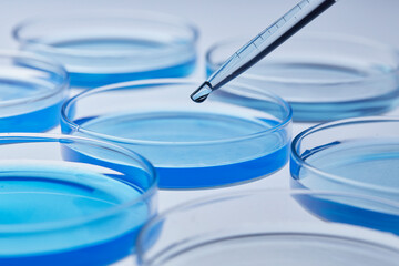 laboratory experiment