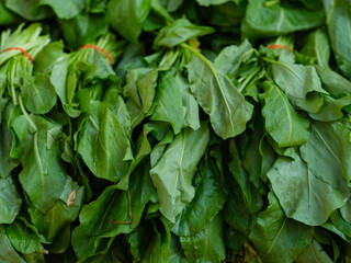 fresh spinach at the market