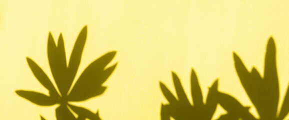 Fototapeta na wymiar Abstract leaves shadow on yellow background.