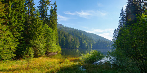 Fototapeta na wymiar wild lake among the coniferous forest. wonderful nature scenery in carpathian mountains. sunny summer weather on a bright forenoon. popular travel destination