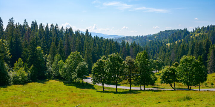carpathian mountain landscape in summer. beautiful countryside with forested hills and road through the valley