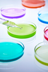 colorful and various solutions in petri dishes, laboratory experiment
