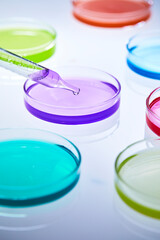 colorful and various solutions in petri dishes, laboratory experiment