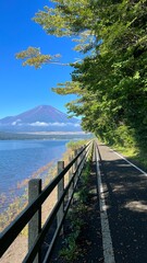 サイクリングロードと富士山
