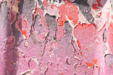 Naklejka premium Old and cracked red, peeling from an old car.