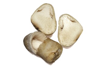 Straw mushrooms on a white background