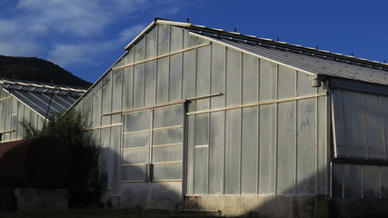 Fototapeta premium Plastic greenhouse