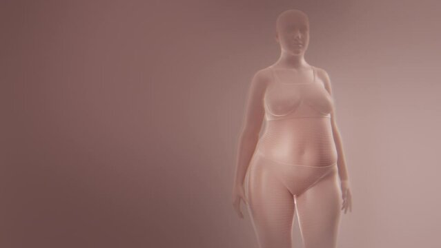 Woman gaining weight, rotating camera. 3d animation, medium shot, 4k.