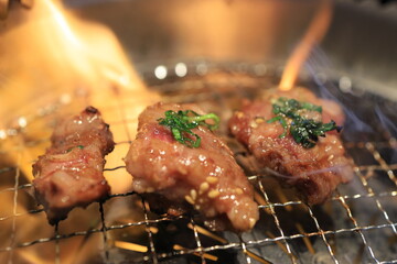 黒毛和牛焼肉（中落ちカルビ）